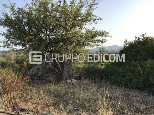 Terreno di 32550 mq in vendita a Ferruzzano - Rif. 4546625 - Foto 2
