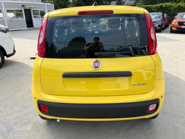 FIAT Pandina Pandina 1.0 firefly hybrid Icon s&s 65cv - Foto 10