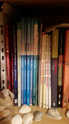 LEZIONI INGLESE E FRANCESE