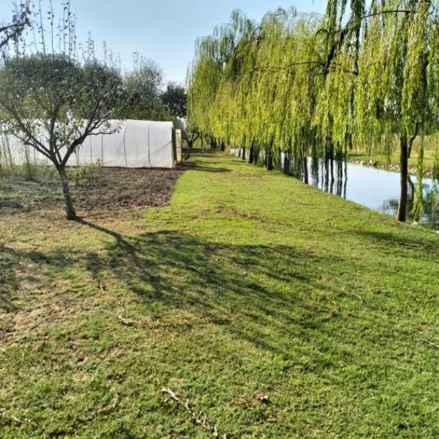 C031. CARPI CAMPAGNA. TERRENO AGRICOLO CON LAGETTO E CAPANNONCINO. - Foto 7