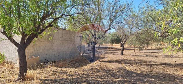 Terreno in vendita a Noto