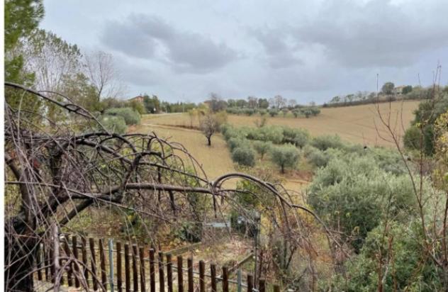 Immobile in asta di 43317 m² in vendita a Terre Roveresche - Foto 2