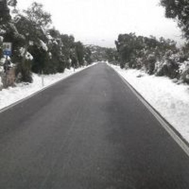 Impresa Deaddis - Foto 2