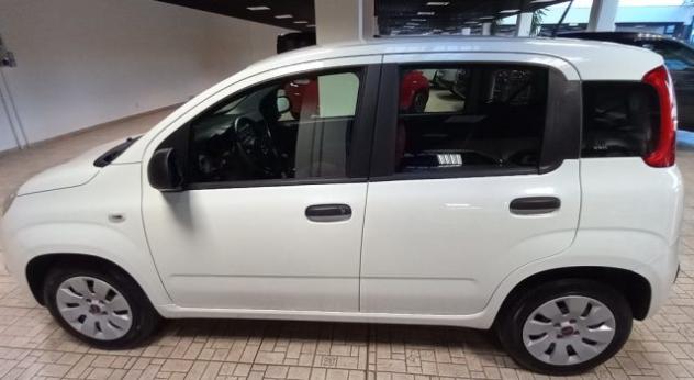 FIAT Panda 1.2 Pop rif. 24217028 - Foto 3