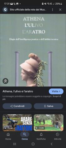 Tiziana Ceccarini-  Athena. L'Ulivo. L'Aratro. 1997
