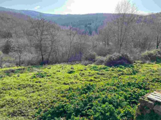 Immobile in asta di 34322 m² in vendita a Bucine - Foto 2