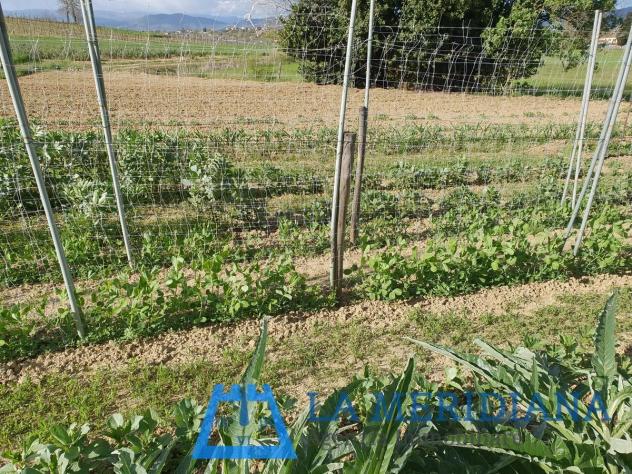 Terreno agricolo in vendita a Cerreto Guidi 21500 mq Rif: 1071586 - Foto 9