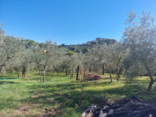 Singola in vendita a Lugnano in Teverina - Foto 10