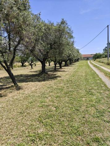 Villa in vendita a San Lazzaro - Sarzana 220 mq Rif: 1430849 - Foto 3