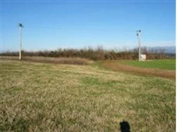 Immobile in asta di 17300 m² in vendita a Martignacco - Foto 6