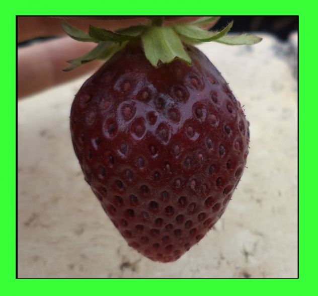 Fragola al gusto ciliegia