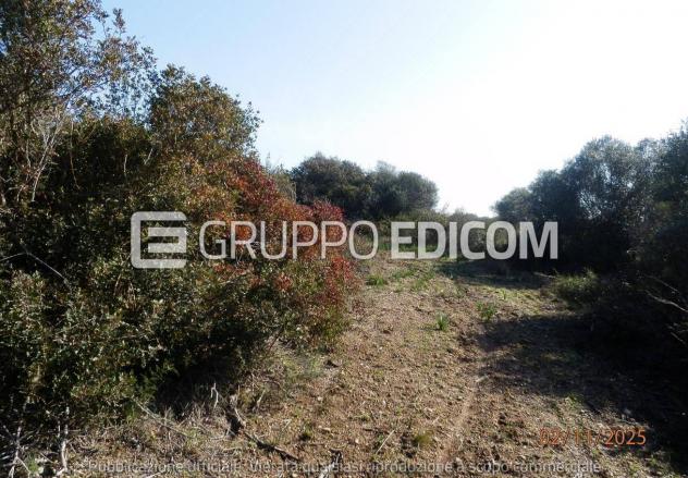 Terreno di 46370 mq in vendita a Montescaglioso - Rif. 4555042 - Foto 3