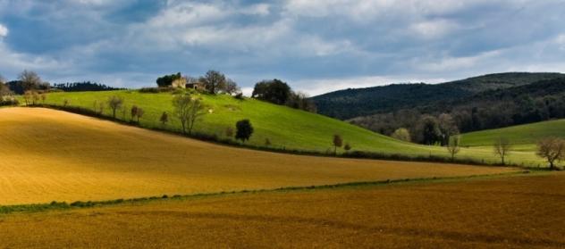BORGO S LORENZO PORZIONE VILLA MQ 165 TERRENO 3 HA