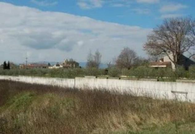 Immobile in asta di 6635 m² in vendita a Cannara - Foto 7