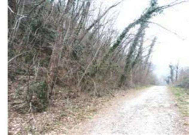 Immobile in asta di 244890 m² in vendita a Attimis - Foto 8