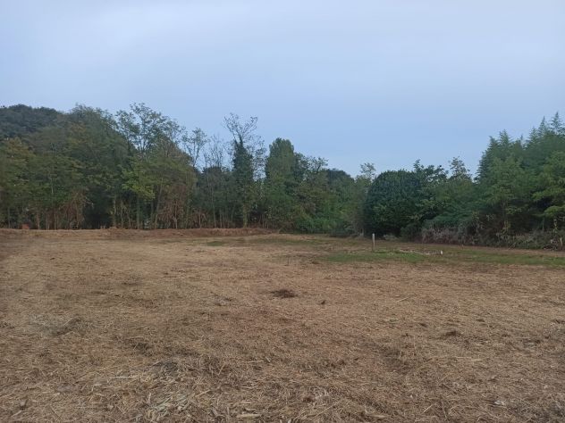 TERRENO AGRICOLO IN VENDITA ZONA MULINI CODROIPO - Foto 3