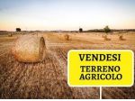 AZIENDA AGRICOLA CON OLTRE 150 Ha IRRIGABILI E FABBRICATI