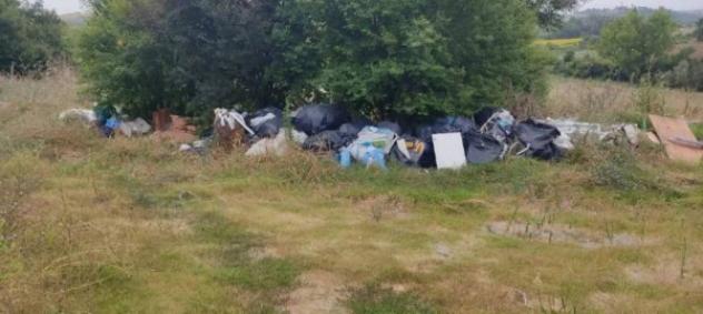 Immobile in asta di 50960 m² in vendita a Siena - Foto 3