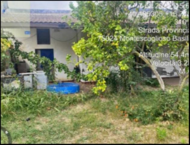 Immobile in asta di 7166 m² in vendita a Montescaglioso - Foto 5