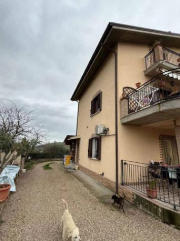 Immobile in asta di 230 m² con più di 5 locali in vendita a Penna Sant'Andrea - Foto 3