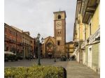 colf e dama di compagnia