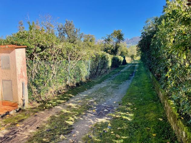 TERRENO AGRICOLO di 6980 mq (PIETRASANTA - Fiumetto) rif. 172/VE - Foto 4