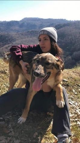 ERCOLE DIMENTICATO TRA I TANTI CANE IN ADOZIONE - Foto 2
