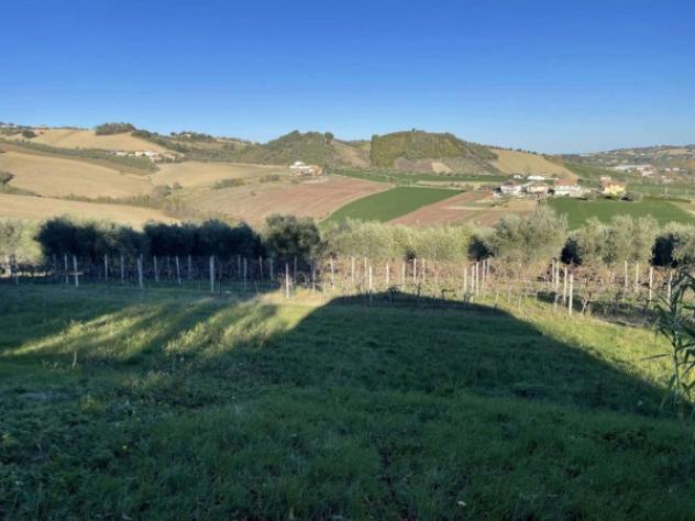 Immobile in asta di 348 m² con più di 5 locali e box auto in vendita a Civitella del Tronto - Foto 8