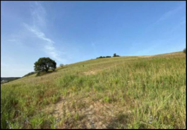 Immobile in asta di 7166 m² in vendita a Montescaglioso - Foto 13