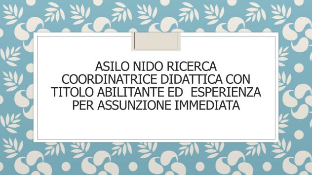 COORDINATRICE DIDATTICA CERCASI