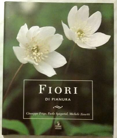 Fiori di pianura di Frigo, Spigariol, Zanetti Ed.Cierre, novembre 1999 nuovo - Foto 6