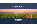 Immobile in asta di 168445 m² in vendita a Decimoputzu