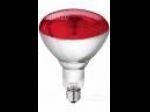Lampada a raggi infrarossi per pulcini - 150 W - Cardelli