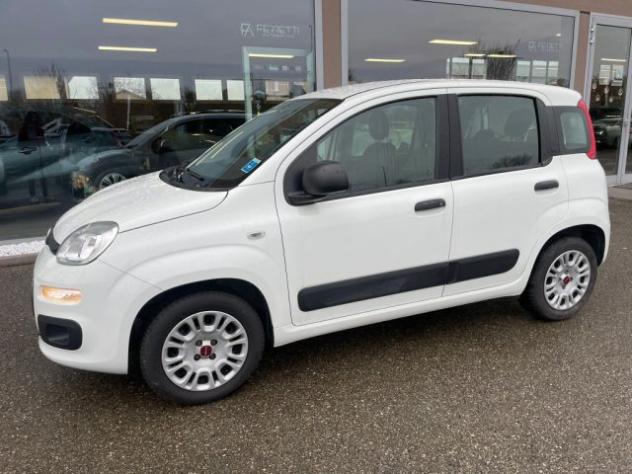 FIAT Panda 1.2 Pop rif. 23149545 - Foto 2