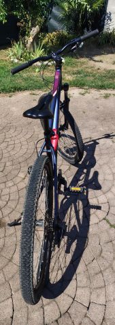 Bici