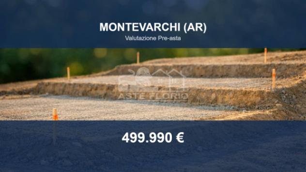 Immobile in asta di 21536 m² in vendita a Montevarchi