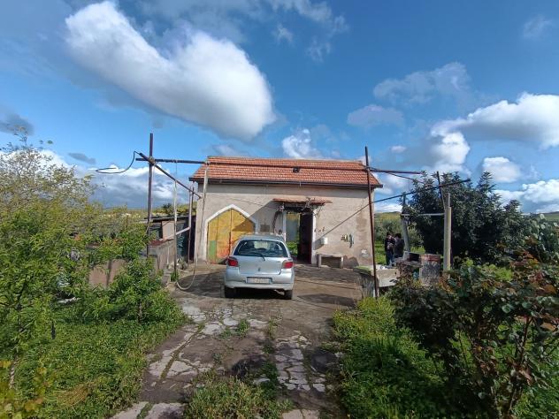 Uliveto in vendita a Paternò - Foto 13