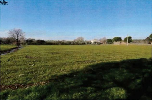 Immobile in asta di 17605 m² in vendita a Viterbo - Foto 2