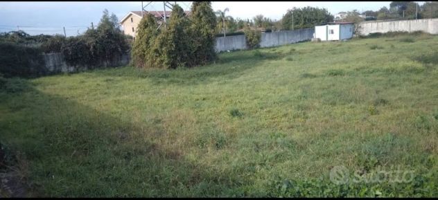 LOTTO DI TERRENO RECINTATO AGRICOLO di 3100 Mq TRA POMIGLIANO E CASALNUOVO - Foto 3