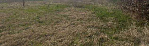 Immobile in asta di 10661 m² in vendita a San Possidonio - Foto 2