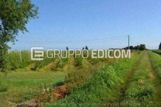 Terreno di 47488 mq in vendita a Villa Bartolomea - Rif. 4546681 - Foto 4