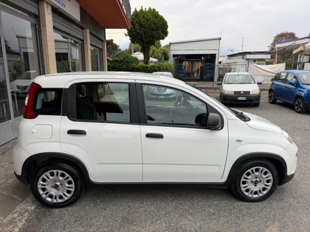 Fiat Panda 1.0 Hybrid - Foto 7