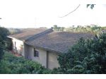 Casa singola in vendita a Fauglia 120 mq  Rif: 1298406