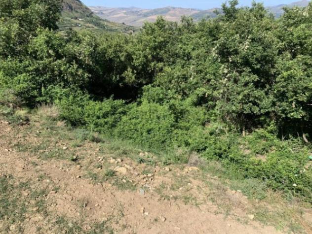 Immobile in asta di 81 m² in vendita a Polizzi Generosa - Foto 5