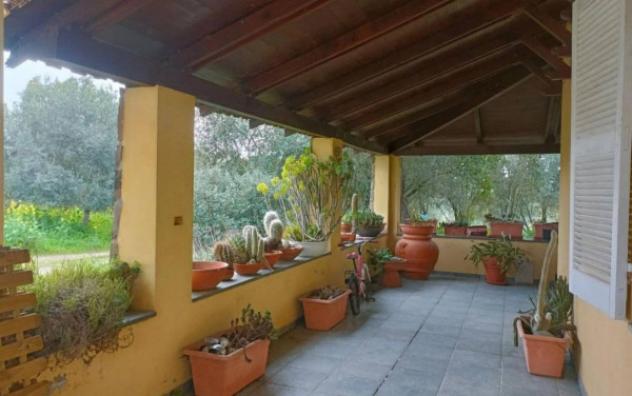 Immobile in asta di 28050 m² in vendita a Samugheo - Foto 6