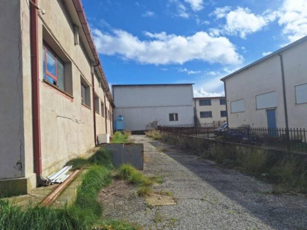 Immobile in asta di 740 m² in vendita a Spezzano Albanese - Foto 4