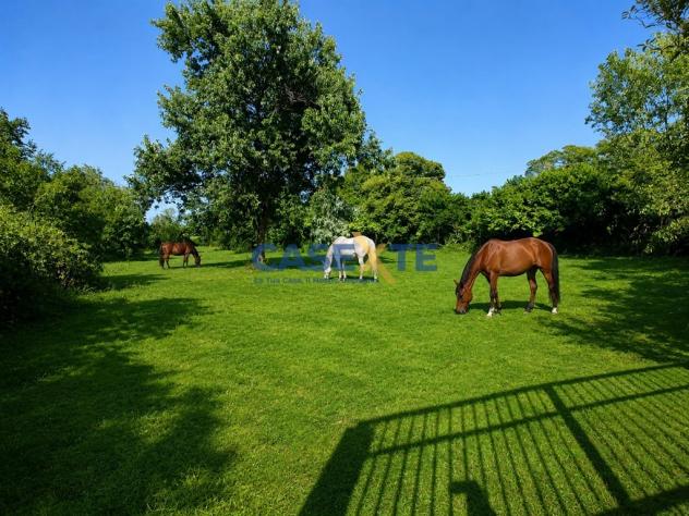 ?? MANEGGIO E CENTRO EQUESTRE – CIRCA 11.000 MQ - Foto 4