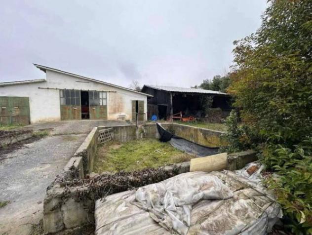 Immobile in asta di 3896 m² in vendita a Zero Branco - Foto 2