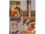 guida al cavallo, Maurizio Bongianni, ARNOLDO MONDADORI EDITORE 1984
