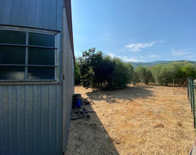 Terreno agricolo in vendita a Buti 1000 mq Rif: 1427835 - Foto 4